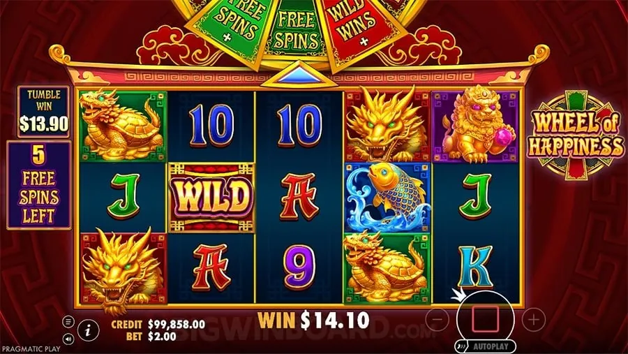 spinplus Gambling Glossary of Terms