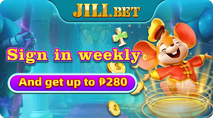 Spinplus Bingo Strategy